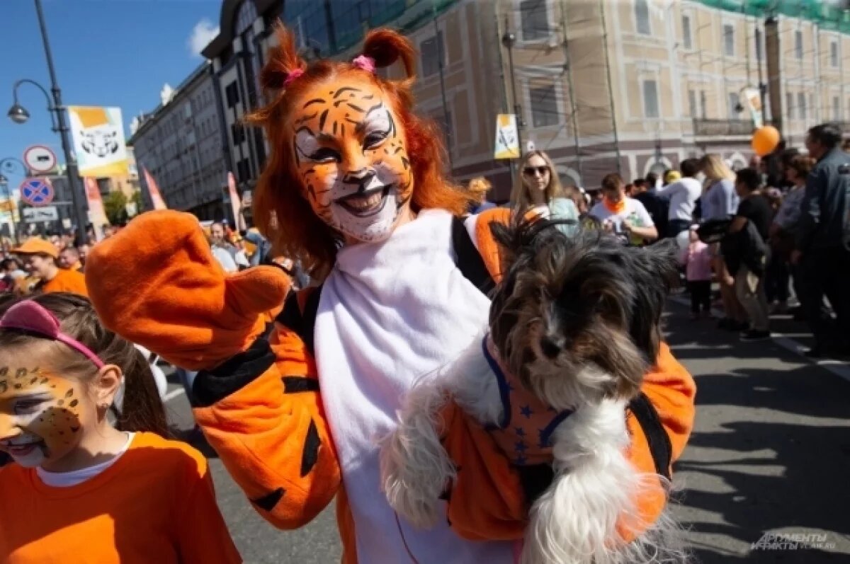    Насыщенные выходные.