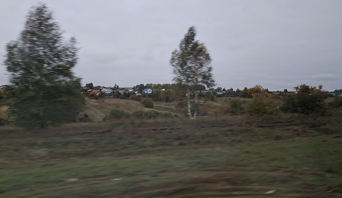 По дороге в Дивеево. Фото автора из автобуса.