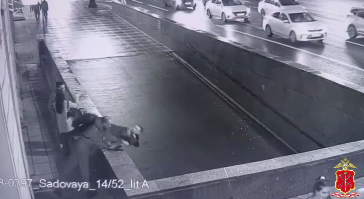 Фото: кадр видео пресс-службы ГУ МВД России по Петербургу и Ленобласти