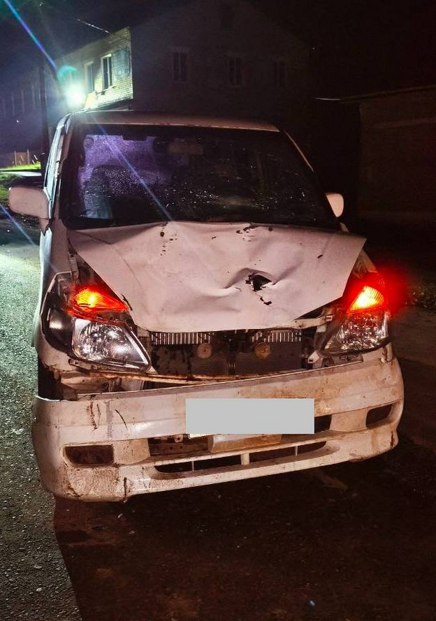    В Верхнекамском районе иномарка сбила трёх пешеходов