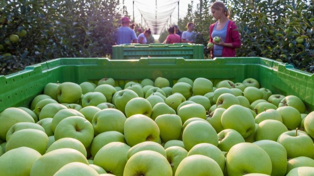    Фото: Andrej Privizer/Shutterstock/Fotodom