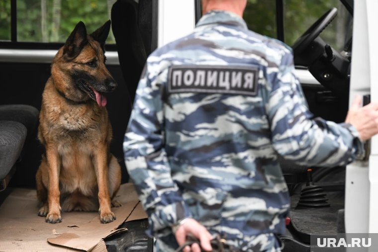    Полиция задержала пособников наркодельцов
