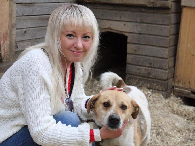     Фото iv-priyut.ru