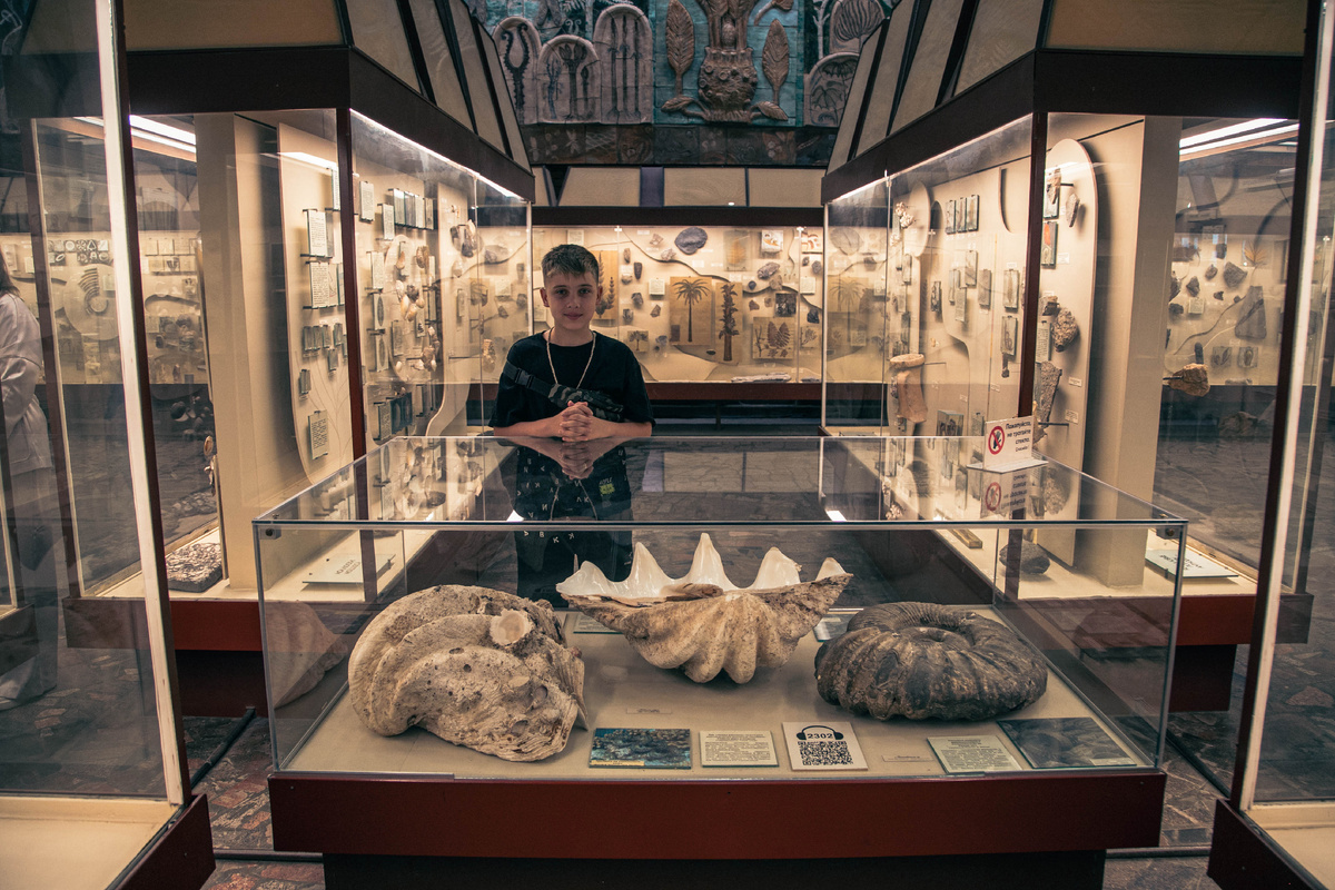 Превращаем параграф 5. «Распределение температуры воздуха и осадков на Земле. (учебник В.А. Коринской «География материков и океанов») в квест для юного палеонтолога.