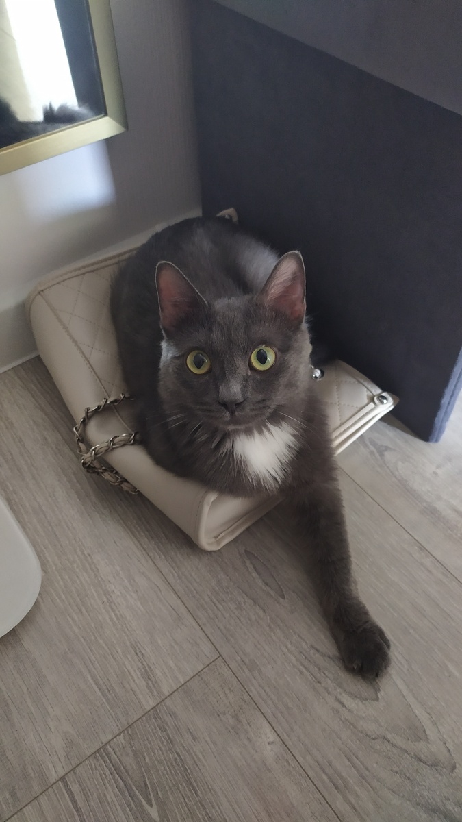 Фото автора)