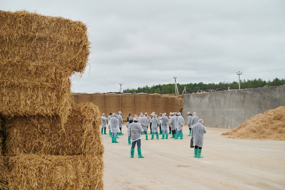 Посещение силосной ямы на территории комплекса «Красный маяк»