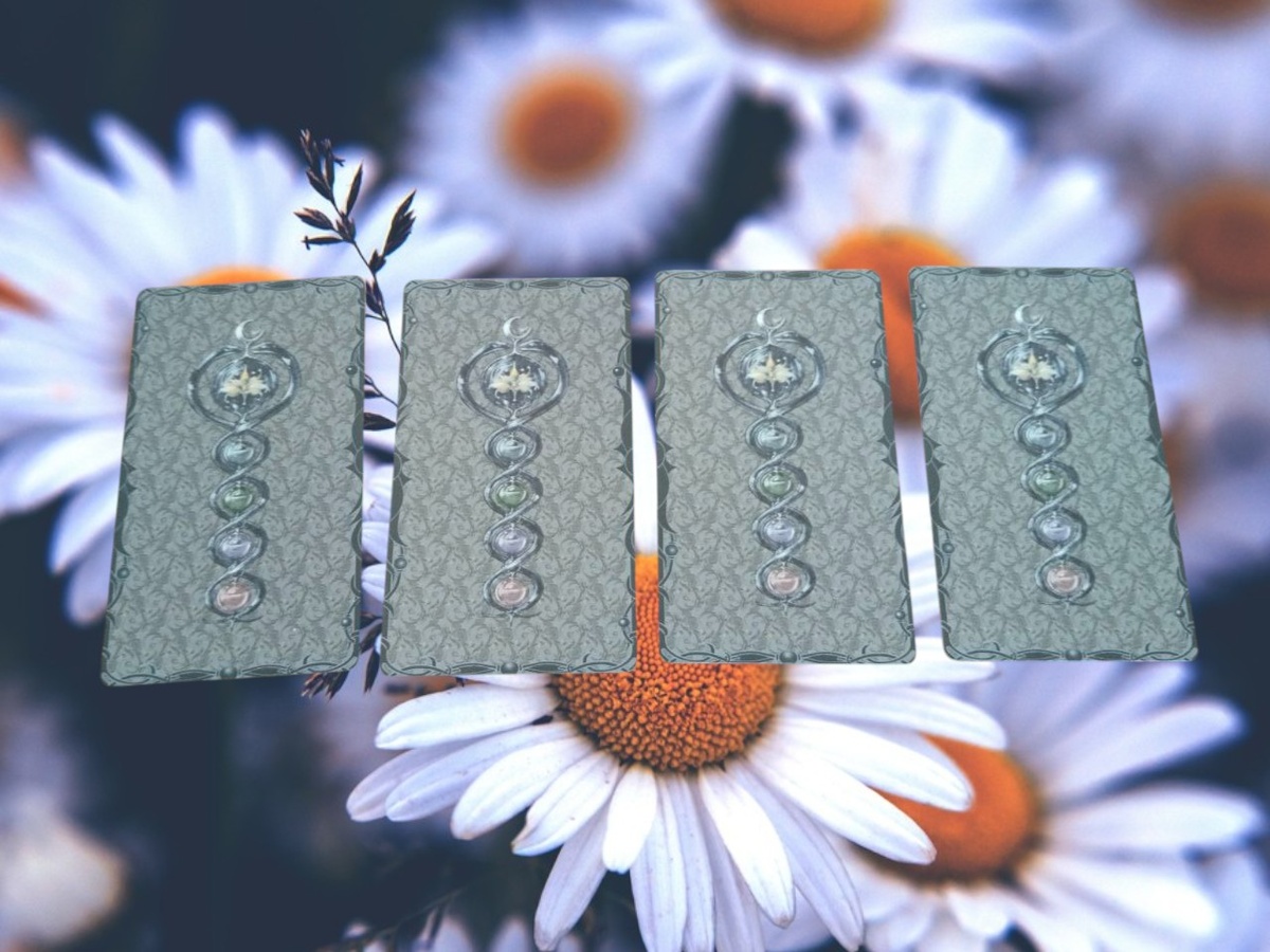 выбирайте свой вариант слева направо 1,2,3,4