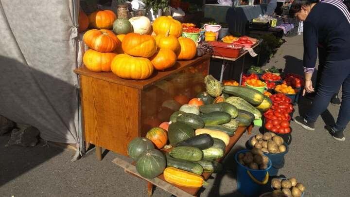 ФОТО: соцсети