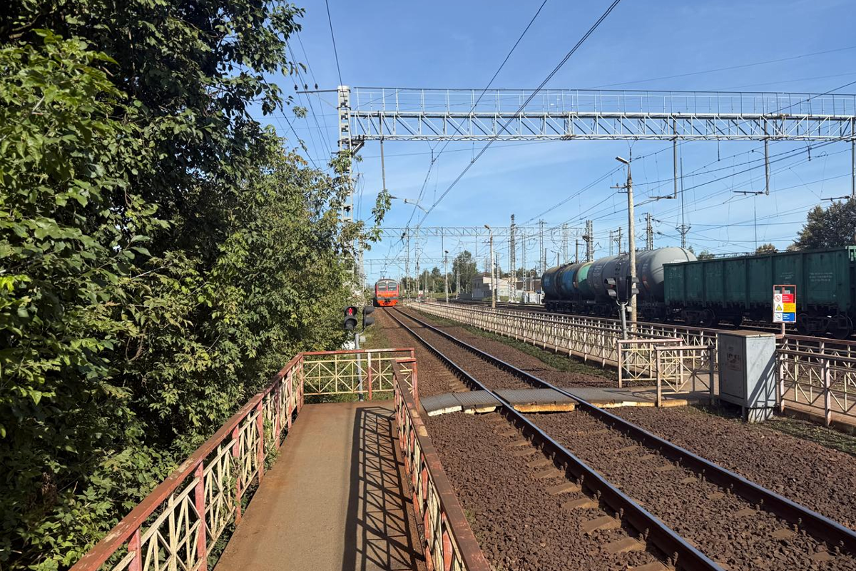    Фото: Западный МСУТ СК России, источник: t.me/zmsutskr