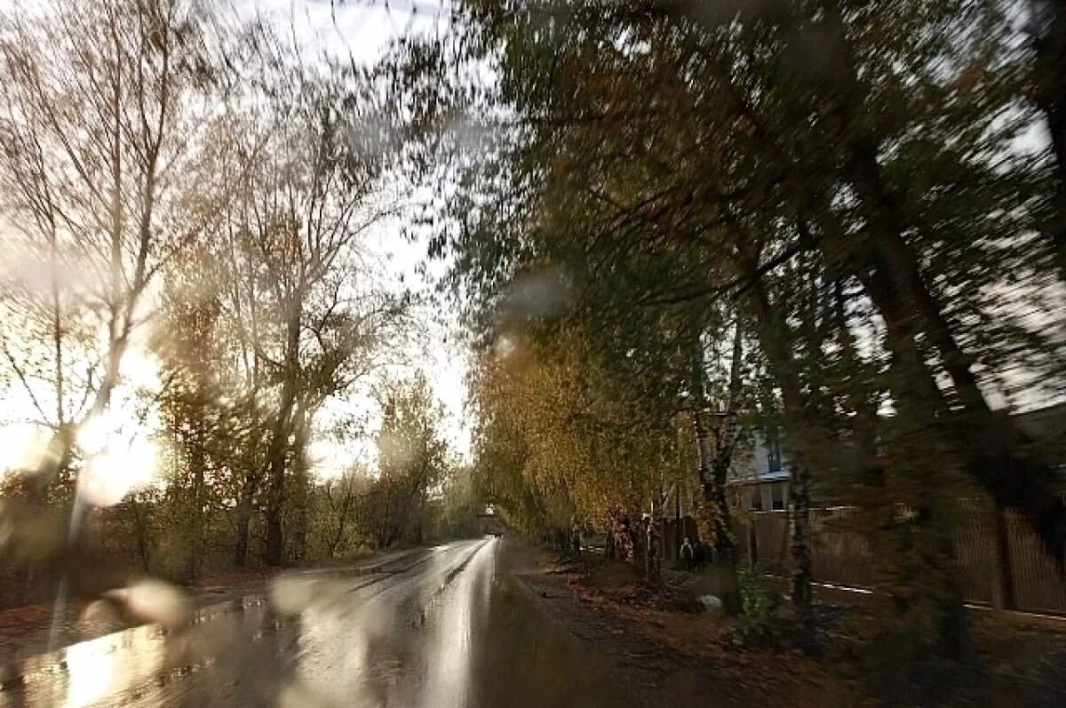    Жителей Среднего Урала предупредили о сильном ветре и грозах 23 сентября