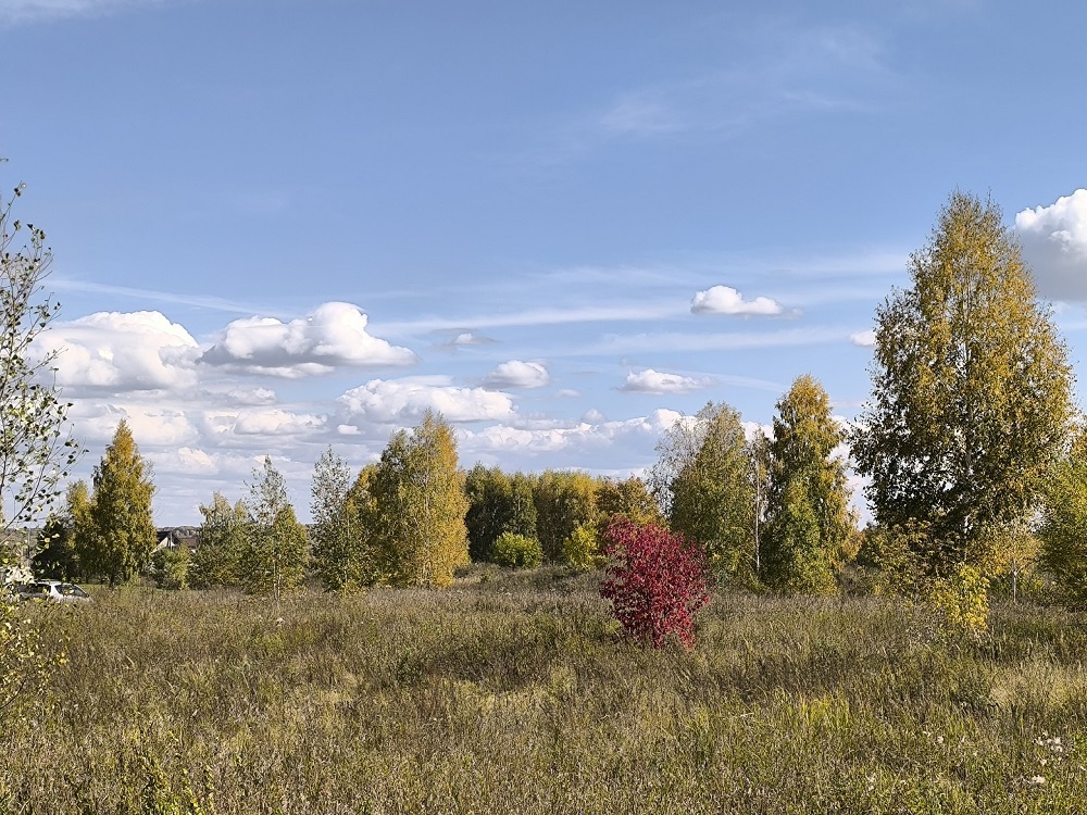    Астрономическая осень наступит 23 сентября. Фото Анны Зубаревой