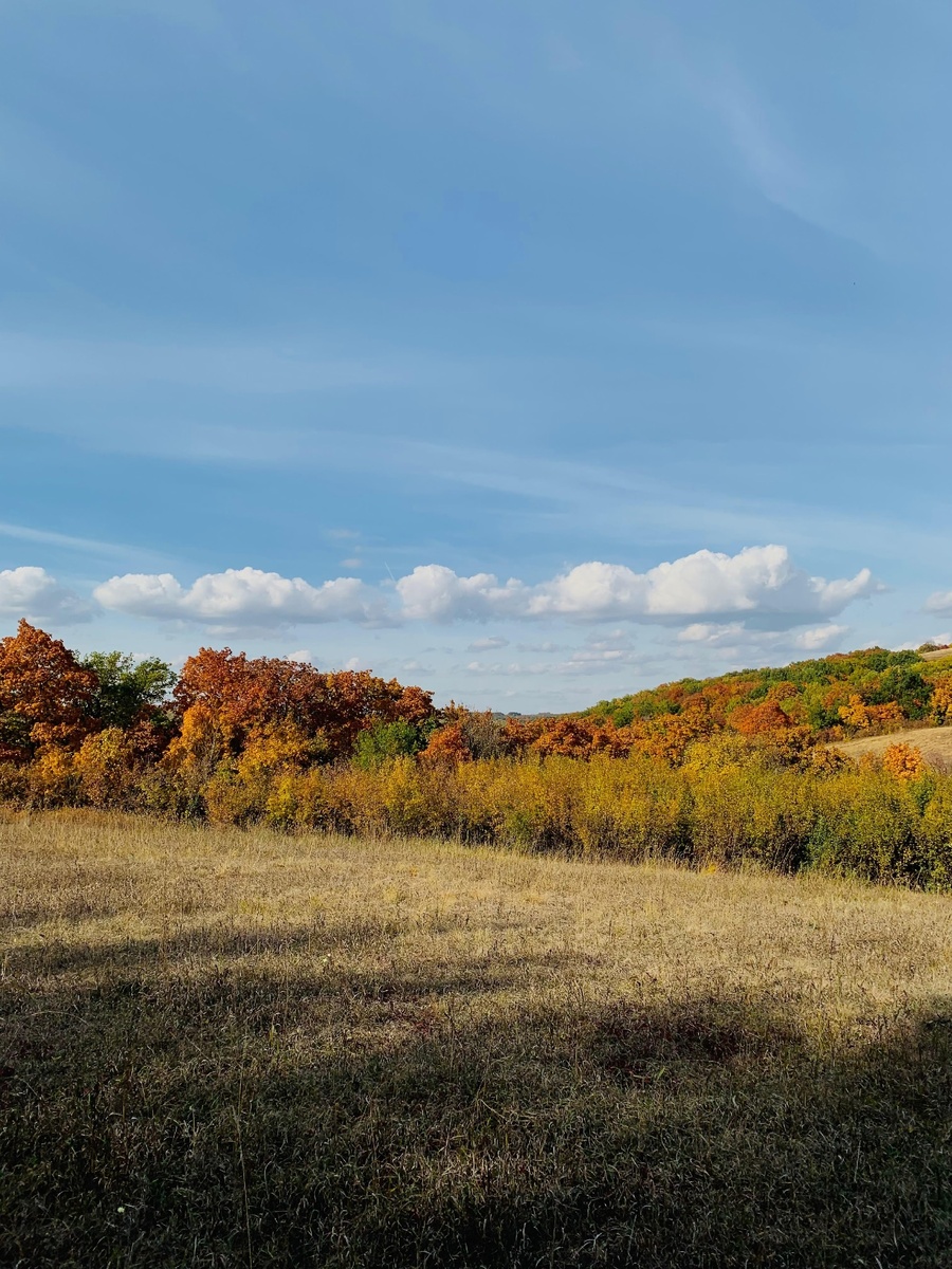 Личное фото