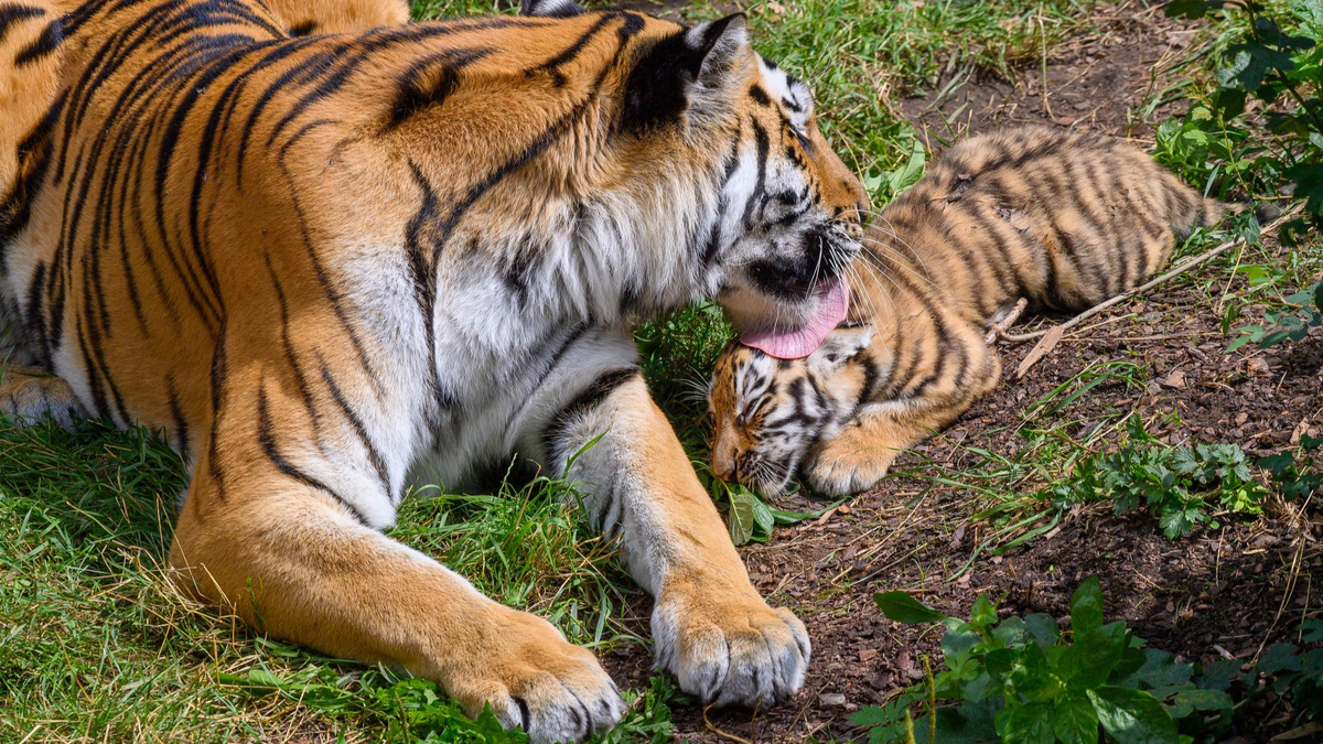    Фото: gettyimages.com