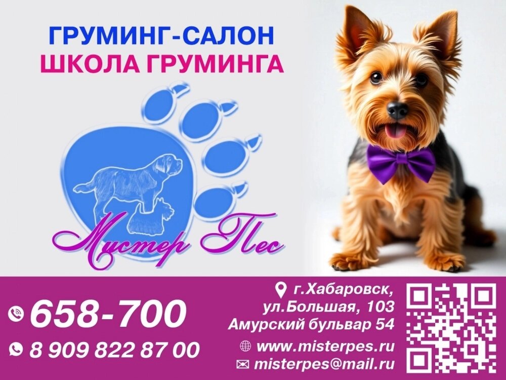 Груминг-салон «Школа груминга». Реклама. erid 2W5zFH1xZJG. ИП Богданова В.О. ОГРНИП 311272411100032