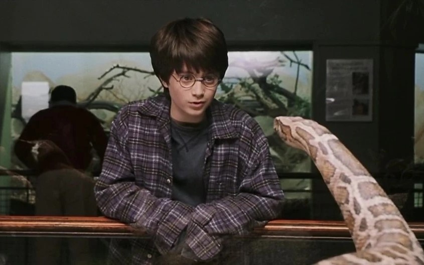 Гарри Поттер и удав (скриншот из фильма, pinterest.com).