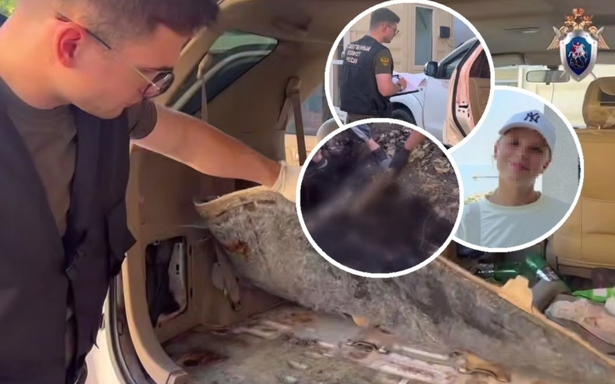 Коллаж: 78 | Новости