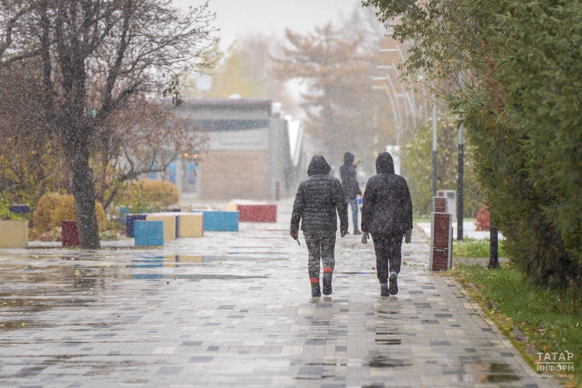 Фото: © Владимир Васильев / «Татар-информ»