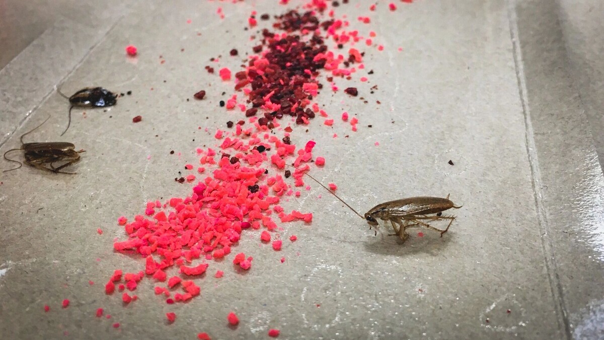     Источник: 1MI