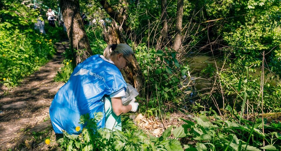   Очистка от мусора берега реки Битца в Ленинском округе в рамках экологической акции «Вода России» / Медиасток.рф