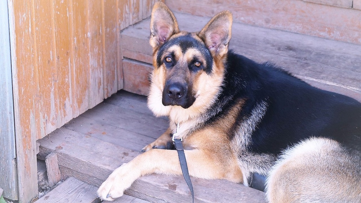 из семейного архива