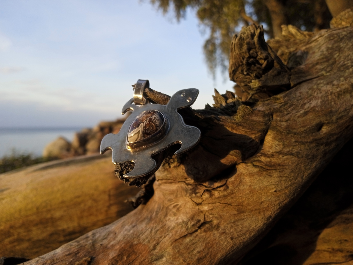 21 сентября 2025. Фотографии авторские. Черепашки моей работы.