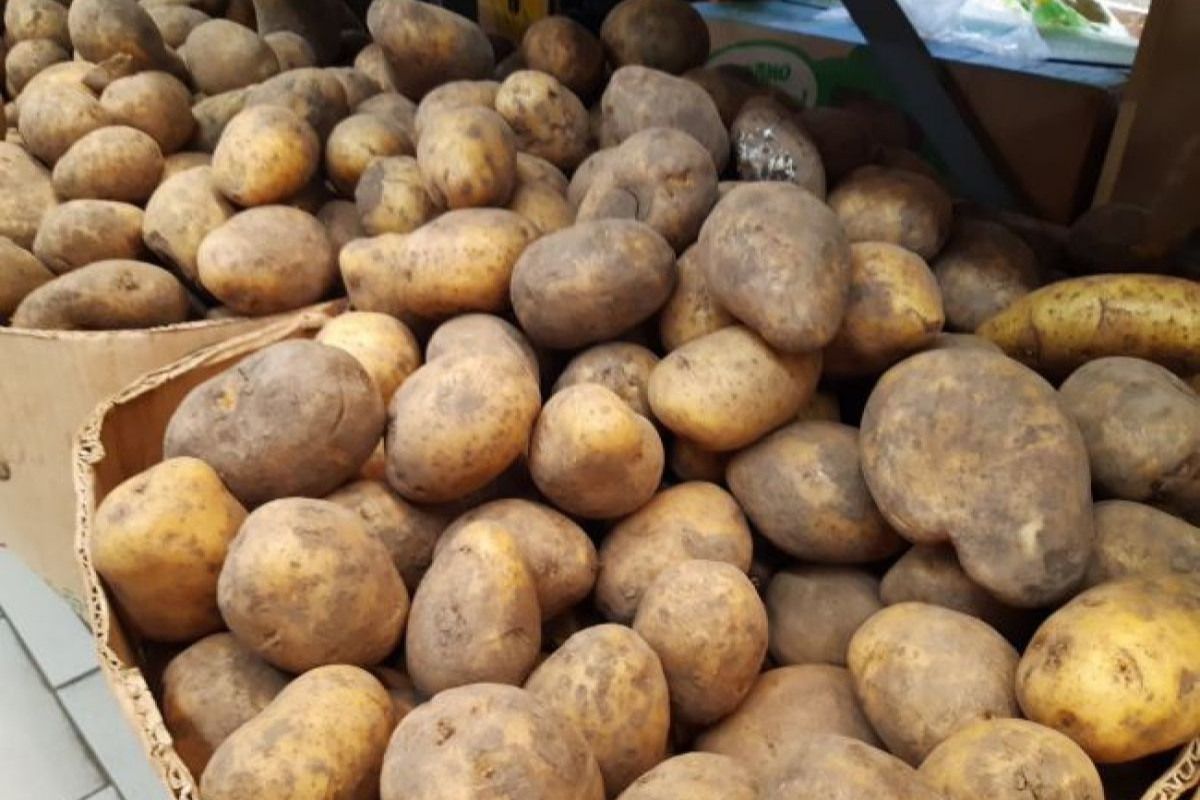 Фото: ИА «Регион 71»