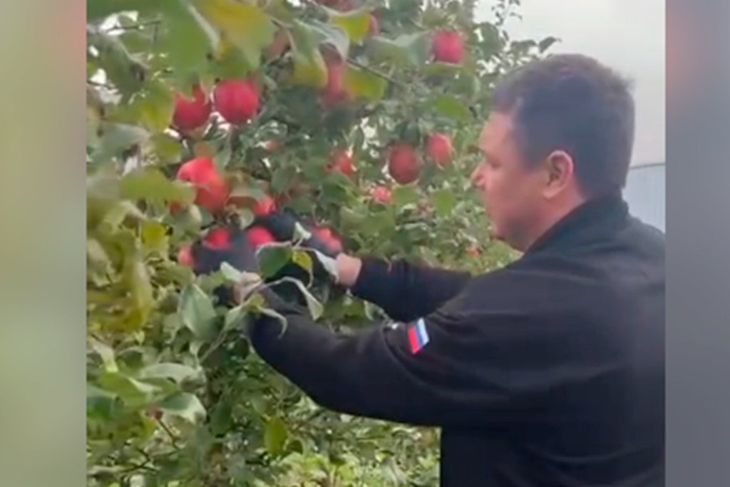    Фото © Telegram / Евгений Первышов