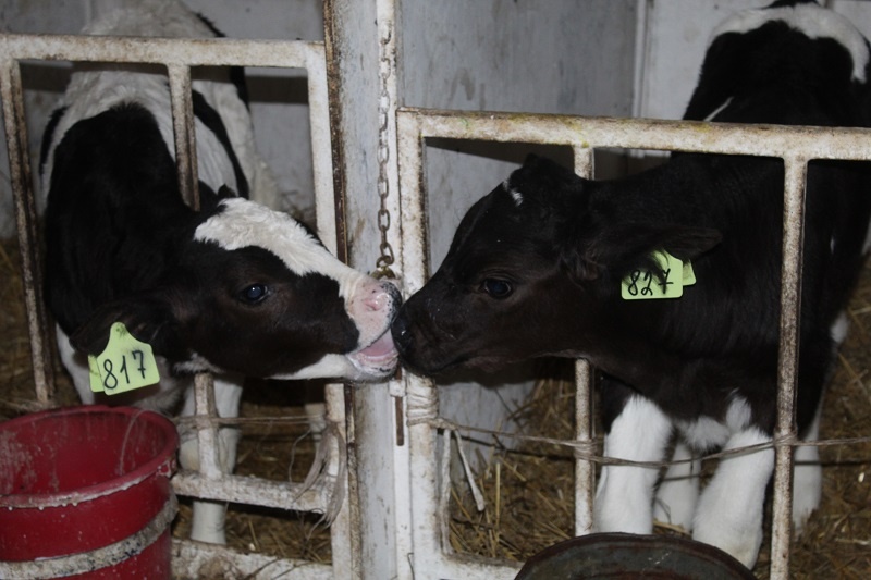    Фото из архива редакции. Носит иллюстративный характер.