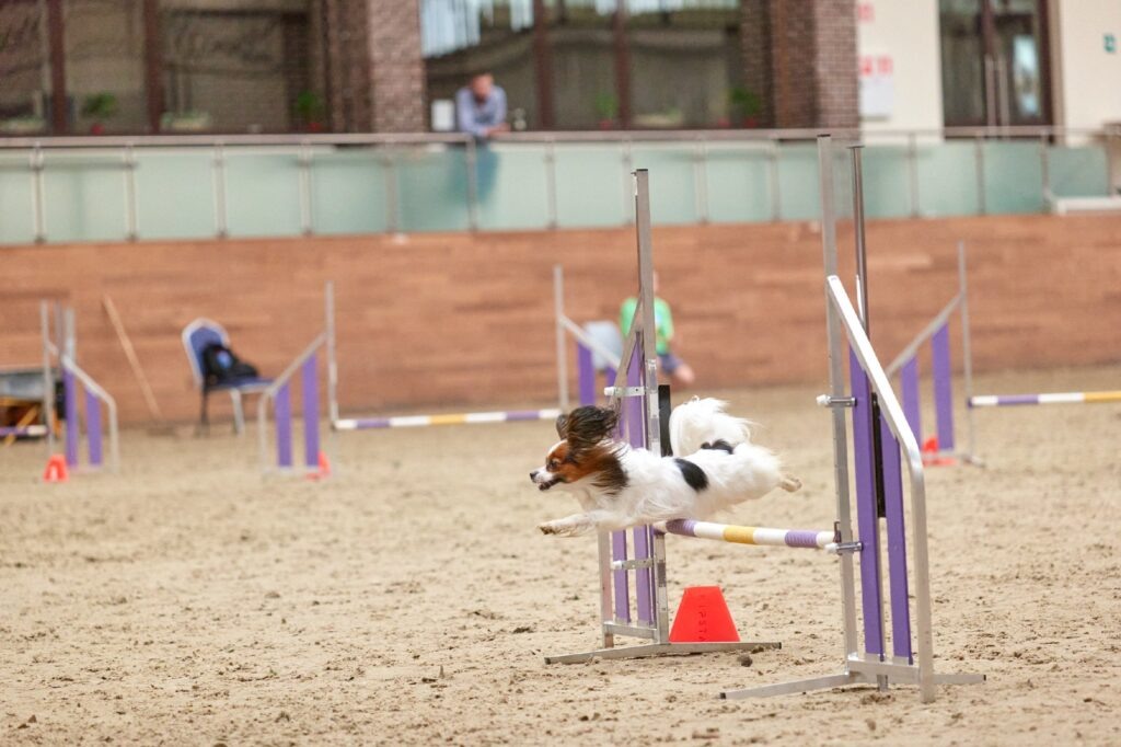    Фото респондента