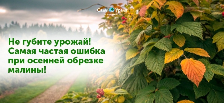 Создать карусель