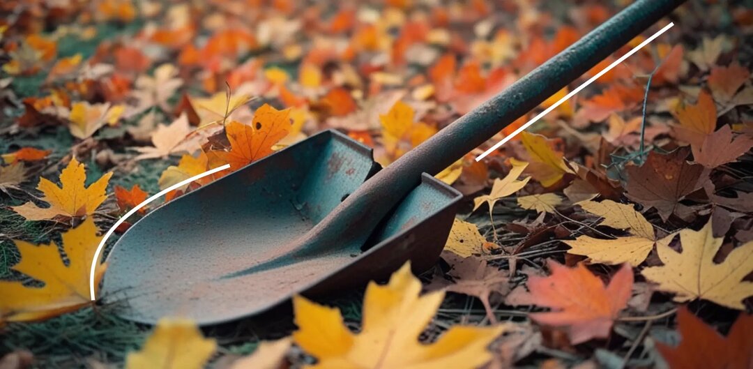 Горчица как сидерат для почвы: когда сеять и закапывать