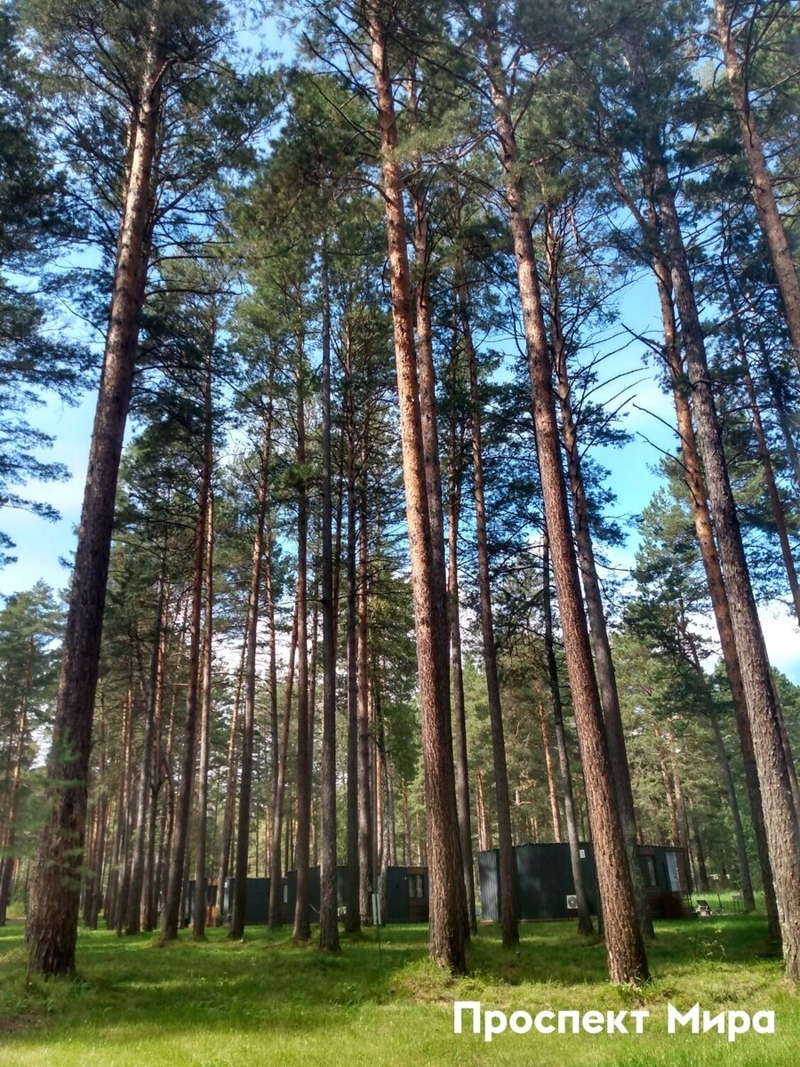     Источник: prmira.ru