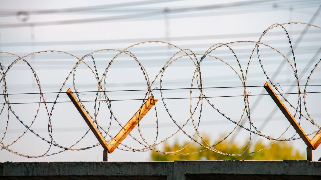    Фото: Svetlana Vozmilova/Globallookpress