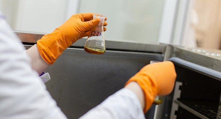    Фото: ФГБУ ЦОК АПК