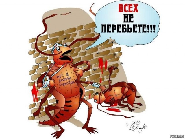 Фото из открытых источников интенета 