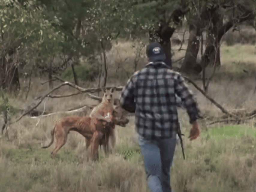 Greg Bloom / Viralhog