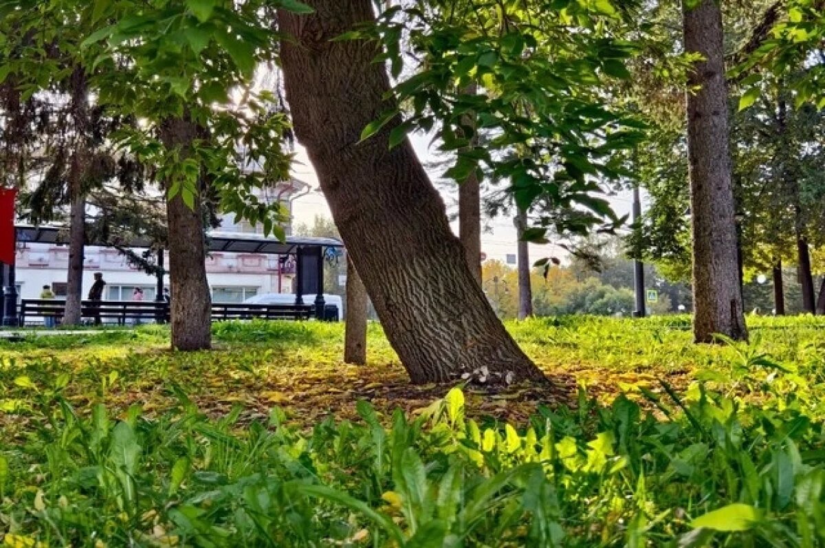    В Омской области ожидается аномальное тепло