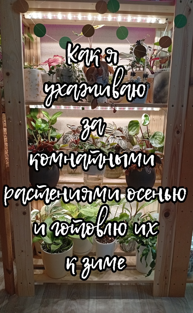 Фото для обложки