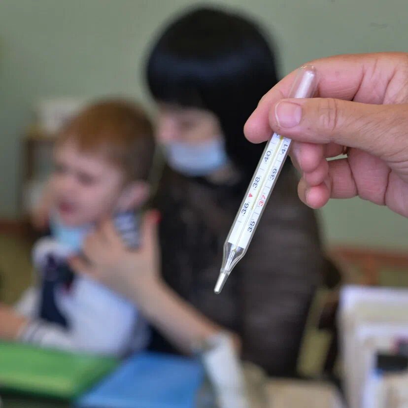    Фото: sputnik-georgia.ru