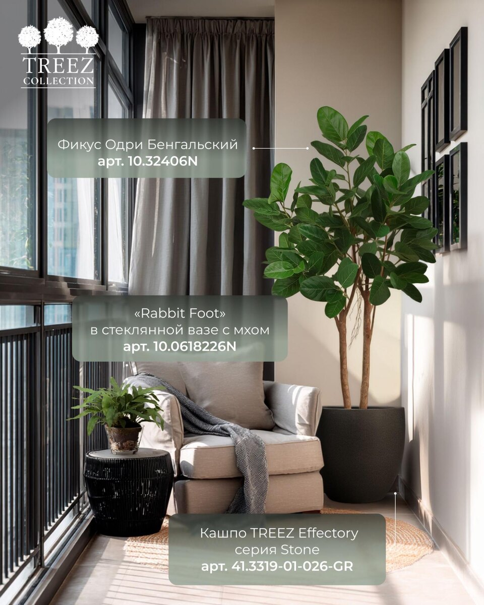 Кашпо и растения TREEZ Collection