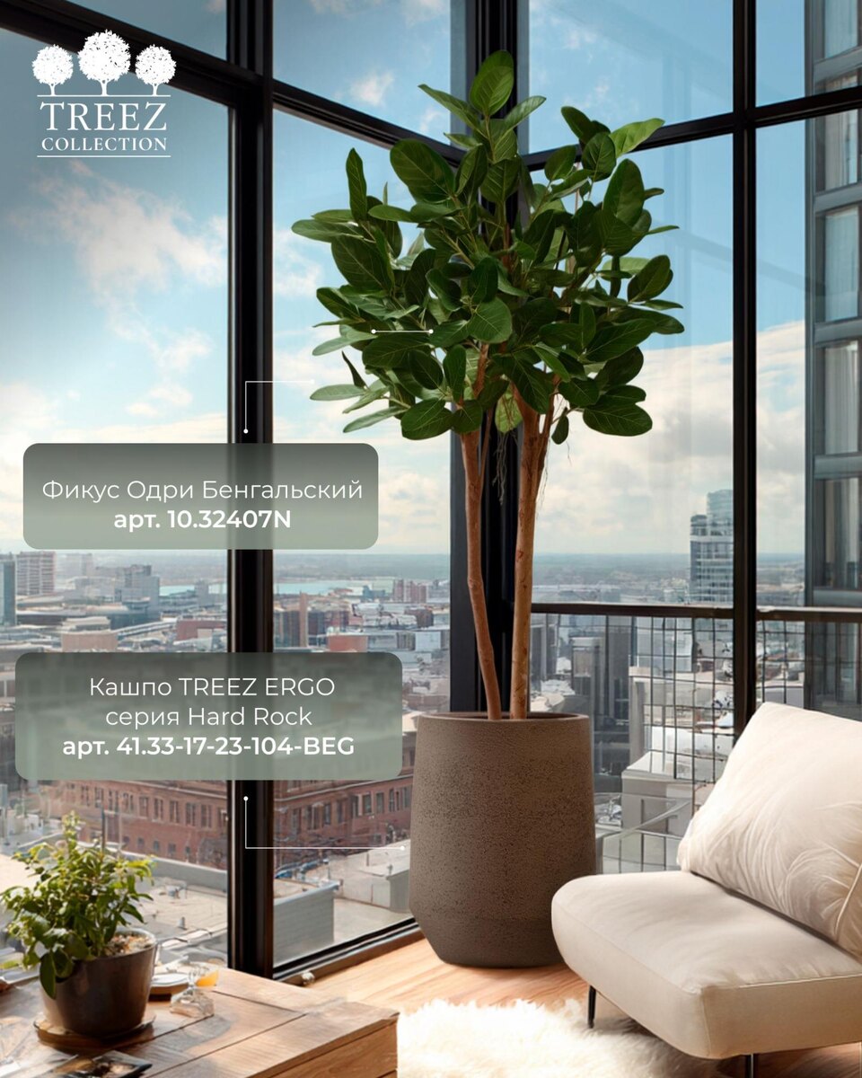 Кашпо и растения TREEZ Collection