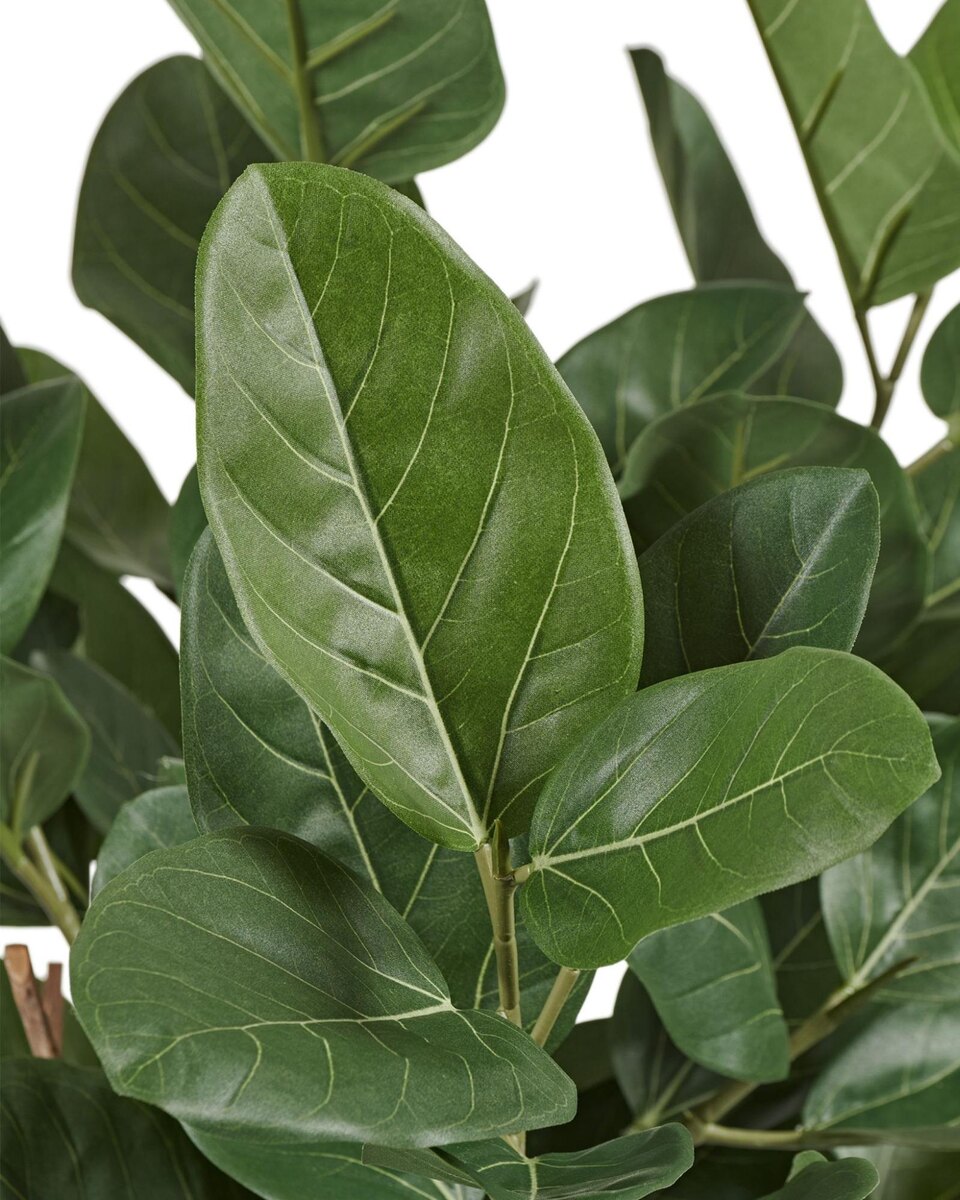 Кашпо и растения TREEZ Collection