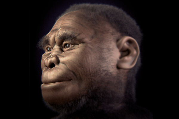 Cicero Moraes et alii/OpArc (OPen Archaeology) 