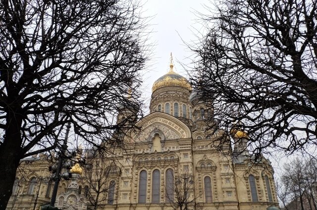    Фото: spb.aif.ru/ Вероника Такмовцева