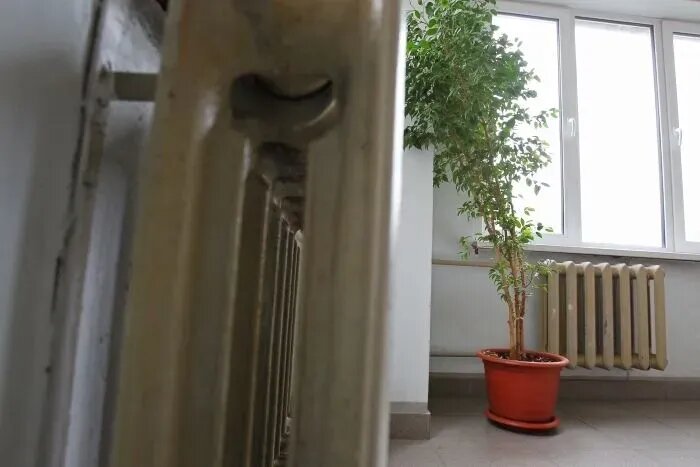     © РИА Новости. Мария Девахина