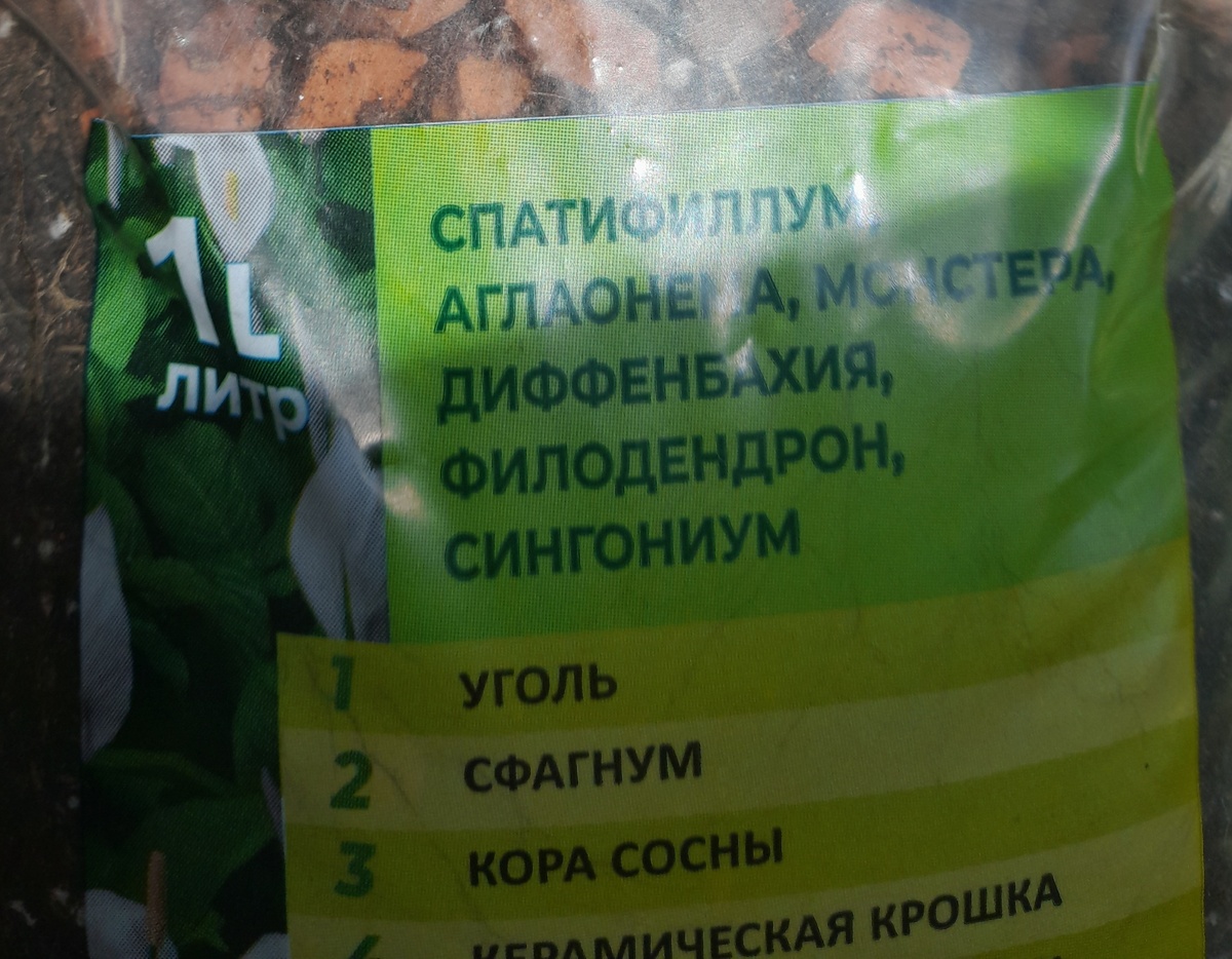 Вместо полностью минерального грунта использовал уже готовую смесь для ароидных с дерновой землёй, торфом и прочими добавками