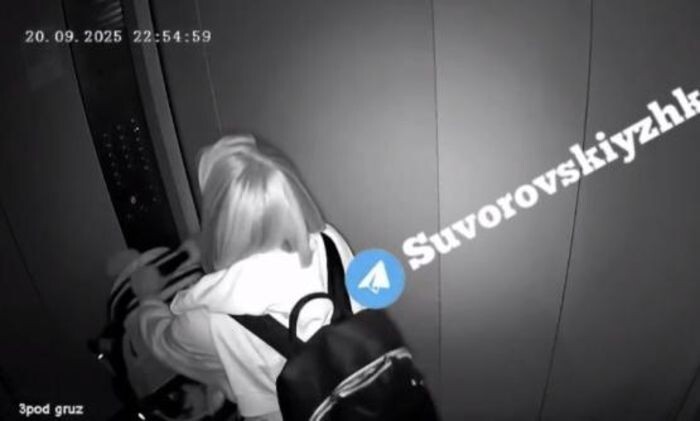 Иллюстрация: Телеграмм-канал "Суворовский"