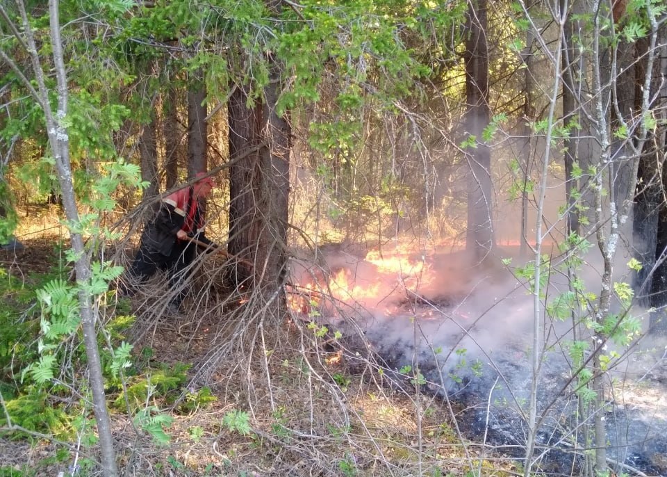    Фото: Минприроды Прикамья Ульяна Бажанова