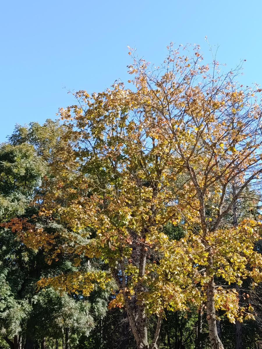 Яркий солнечный день.