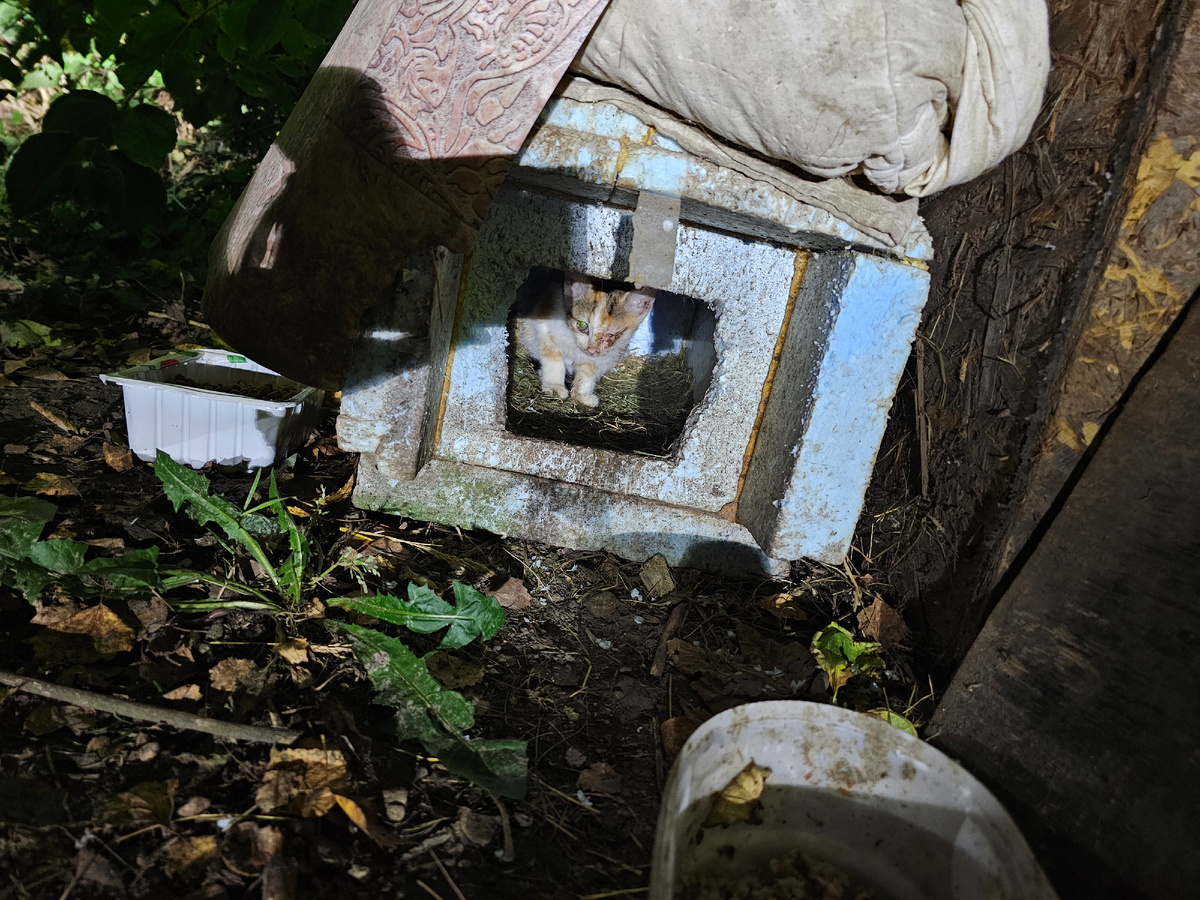 Фото автора. Еще один малышок. Без вас ее уже вчера бы небыло бы.